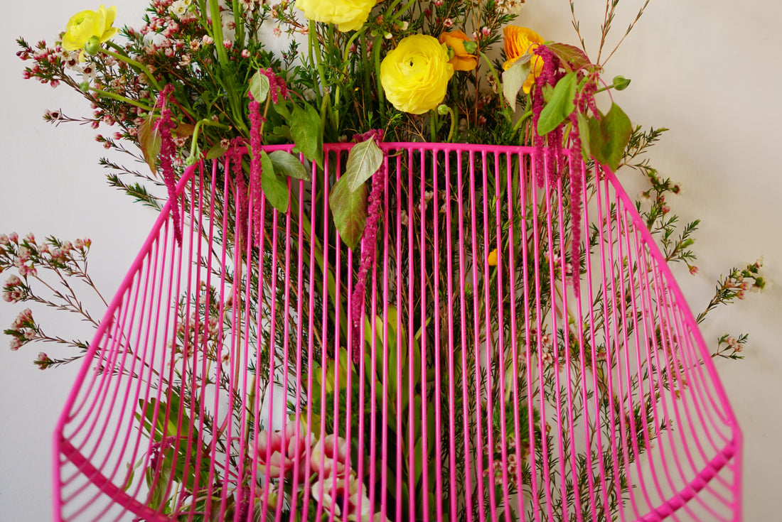 <p><strong>WIN A BUNNY LOUNGE SPECIAL EDITION!</strong></p>