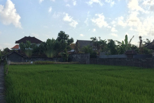 INDOOR/OUTDOOR LIVING DONE RIGHT<span>Behind The Bend</span>