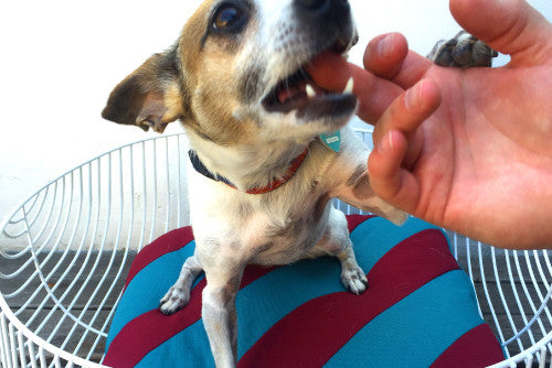 The Perfect Delfie Every Time