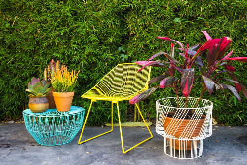 Little Leaf Big Style<span>Behind The Bend</span>