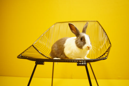 GET READY TO HOP OUT OF YOUR SEAT!