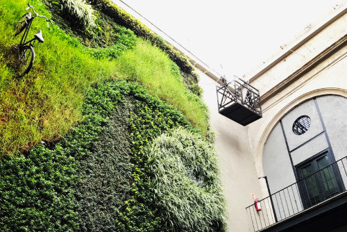 Bend goes to Mexico City<span>Behind The Bend</span>