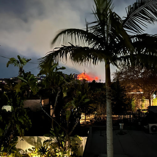 A Week of Heartbreak, Hope, and Unity in LA