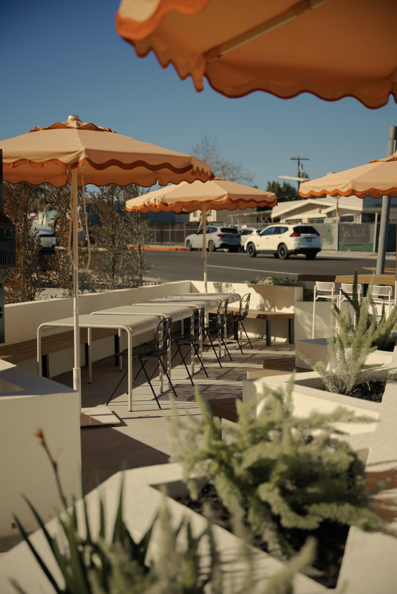 Intelligentsia Coffee