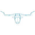 Longhorn