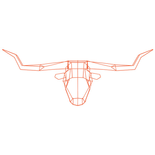 Longhorn